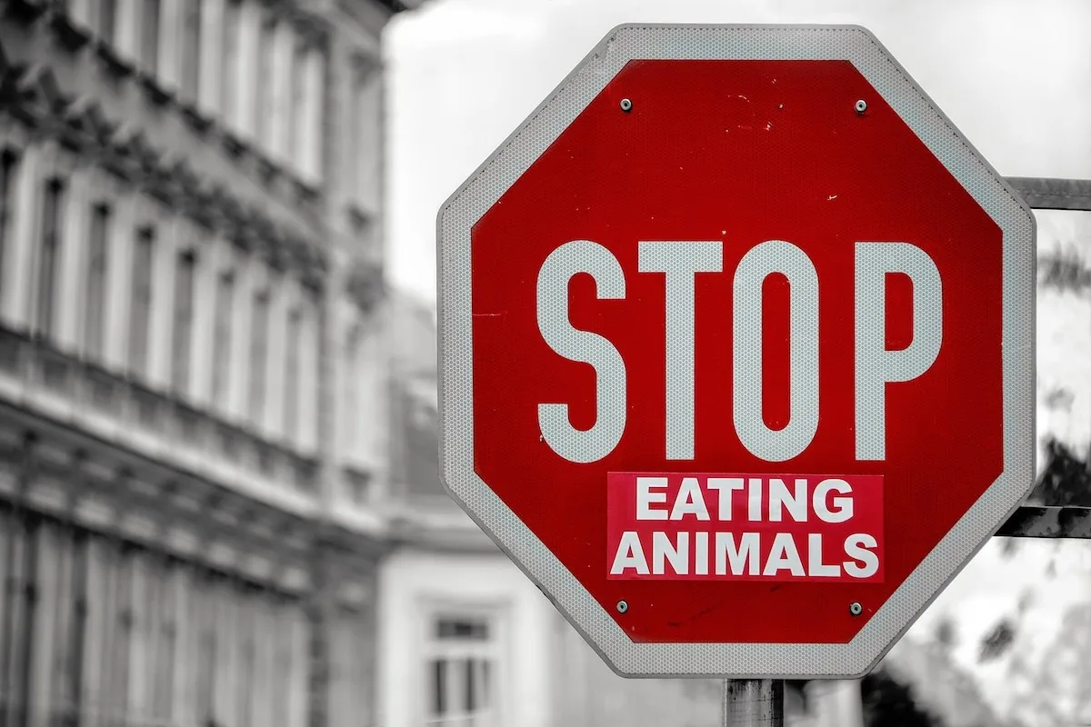 camisetas veganas