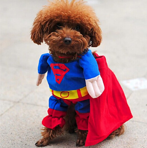 disfraz superman mascotas disfraz superman mascotas