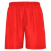 ROJO 60