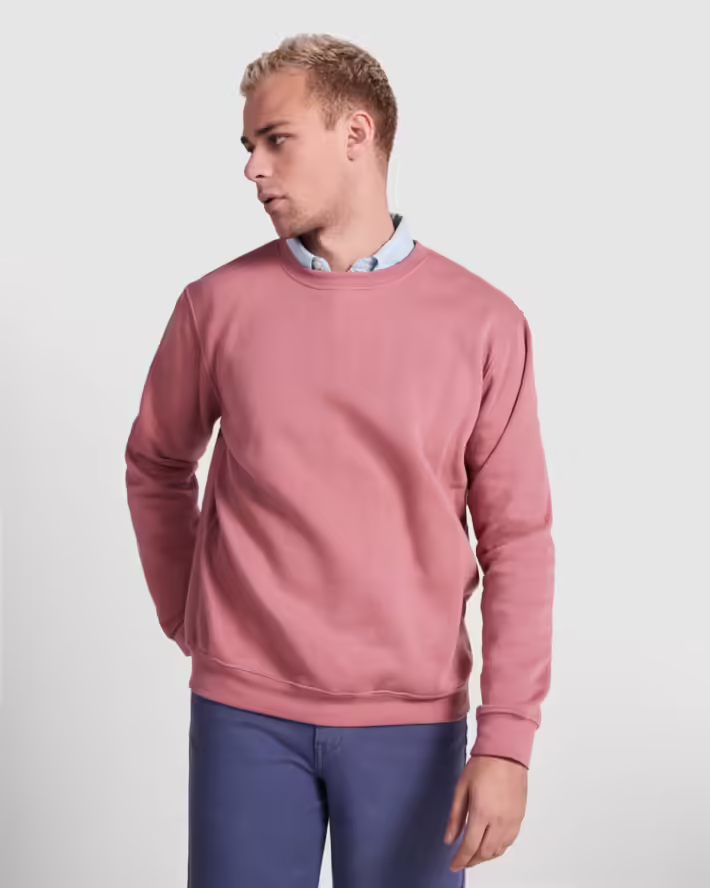 Sudadera Roly Clásica 1070 Unisex