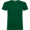 VERDE BOTELLA 56