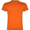 NARANJA 31