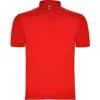ROJO 60