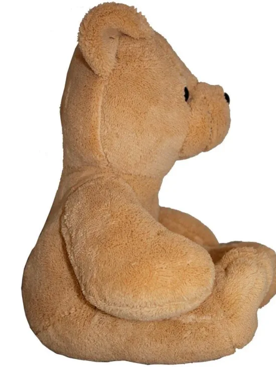 Osito De Peluche Personalizable De Lado