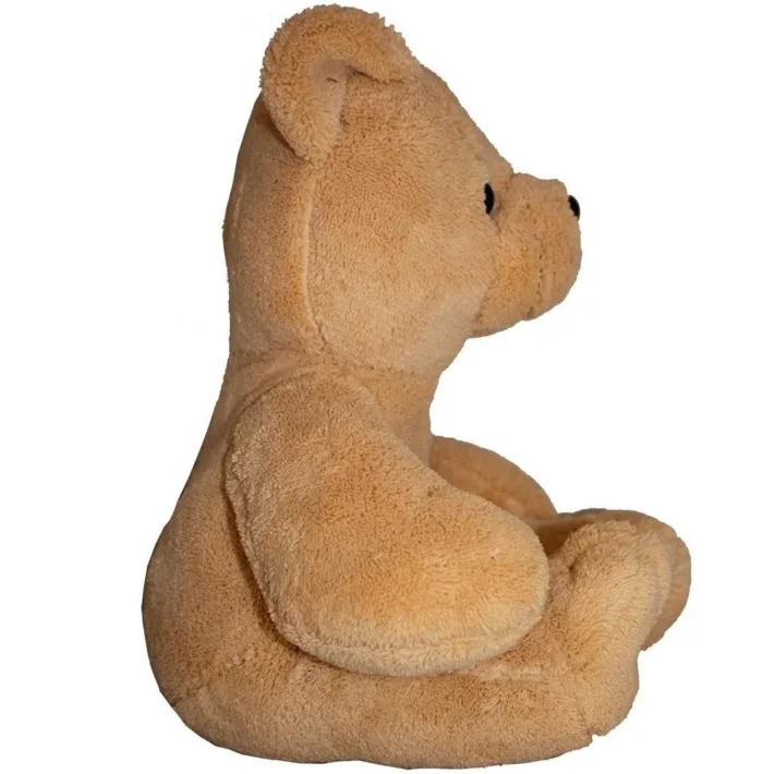 Osito De Peluche Personalizable De Lado