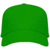 VERDE HELECHO 226
