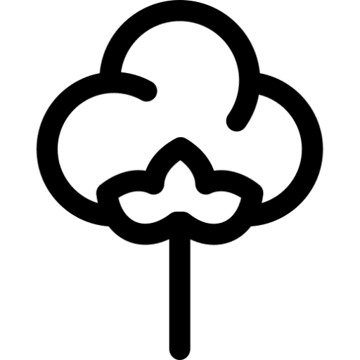 Algodon