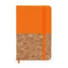 NARANJA 31