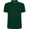 VERDE BOTELLA 56