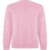 SU1071 48 2 1 jpg ROSA CLARO 48