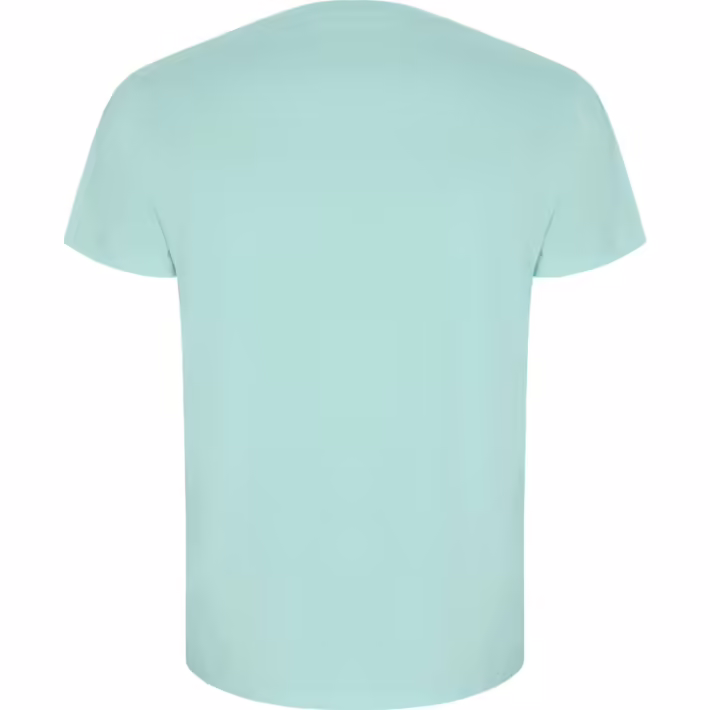 Camiseta Orgánica Roly Golden 6690 Hombre - Imagen 6