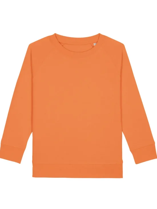 PFM0 STSK916 C051 jpg webp