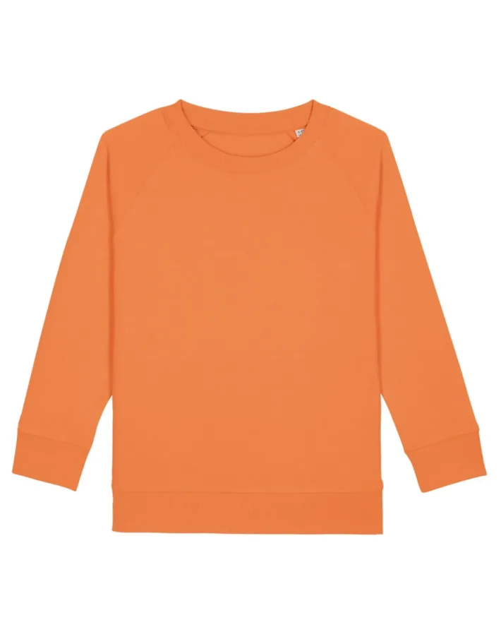Sudadera Iconic niño/a Stanley/Stella Mini Scouter STSK916 - Imagen 3