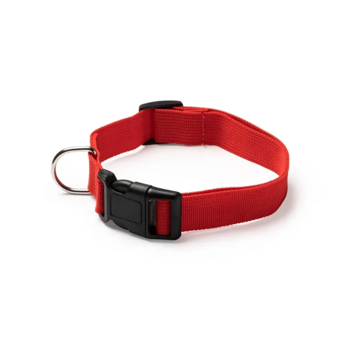 *OUTLET* Collar Para Mascotas Stamina Korat 1021