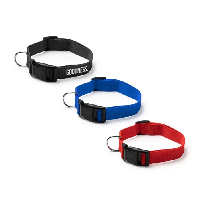 *OUTLET* Collar Para Mascotas Stamina Korat 1021 - Imagen 3