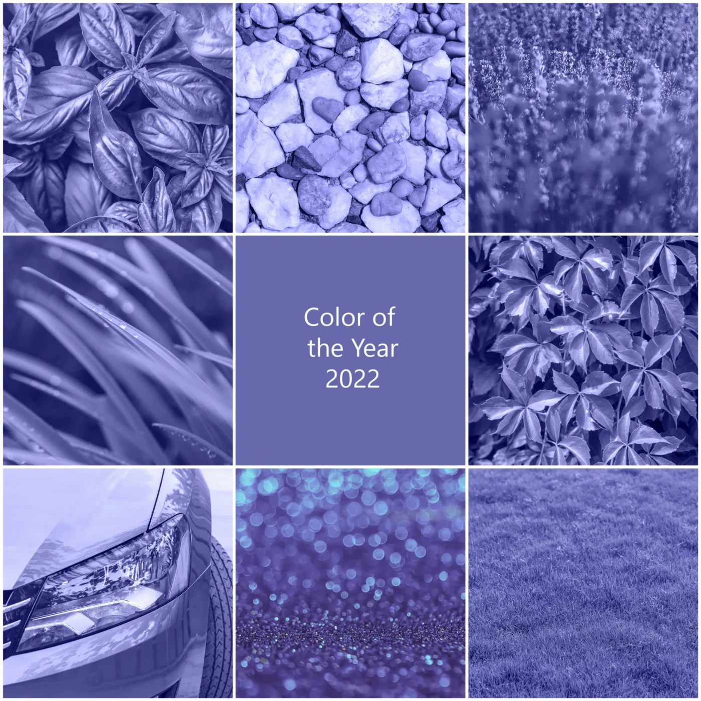 collage on the theme of the color of the year 2022 very peri selective focus nature r scaled color very peri