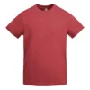 ROJO CRISANTEMO 262