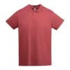ROJO CRISANTEMO 262