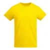 AMARILLO 03