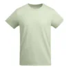 VERDE MIST 264