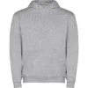 GRIS VIGORÉ 58