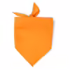 NARANJA 31