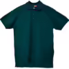 VERDE BOTELLA 56